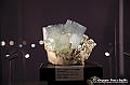 VBS_1040 - Riapre il Museo di Scienze Naturali dopo dieci anni di chiusura
